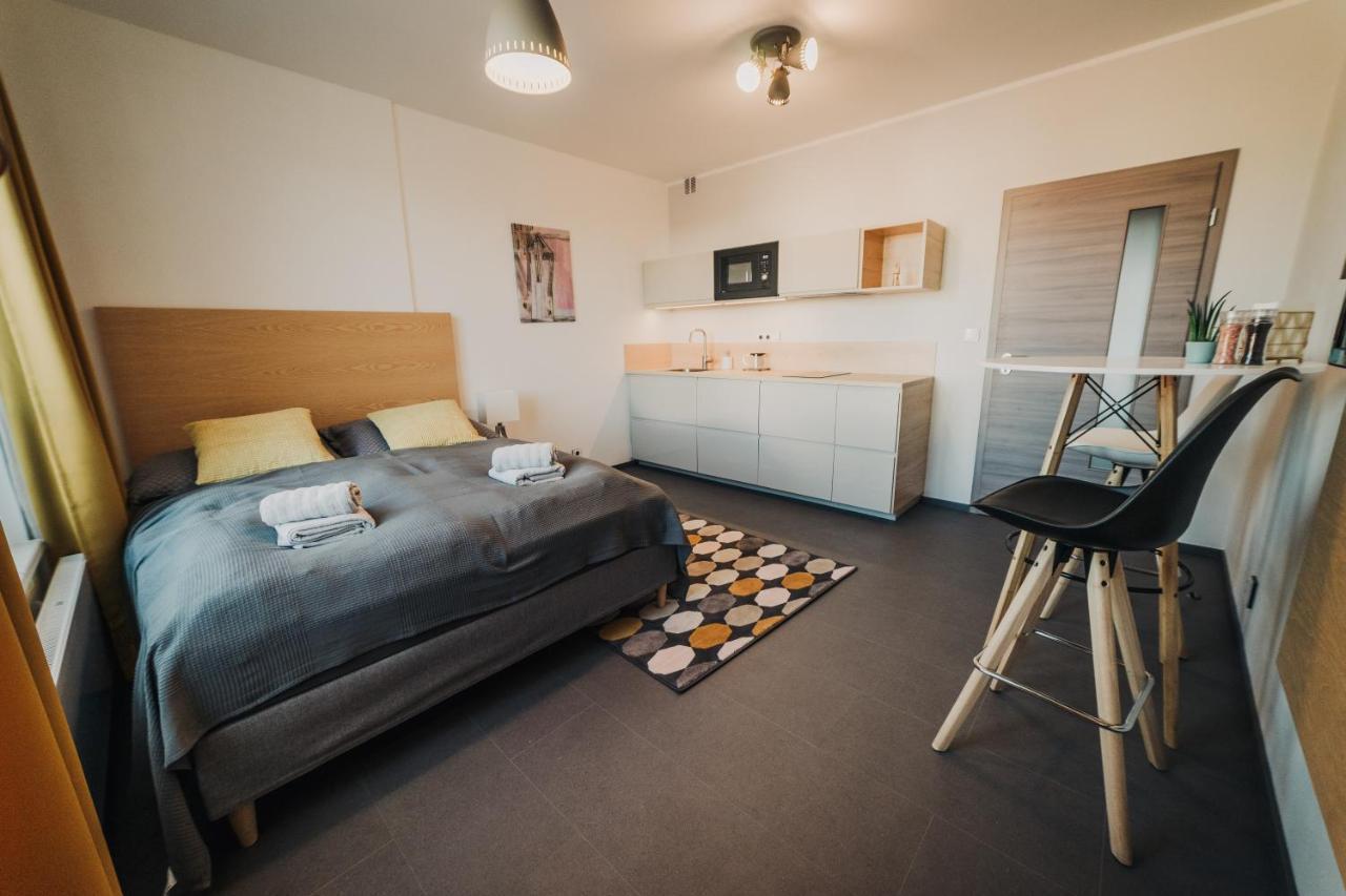 Beautiful New Studio, 400M From The Square Plzeň Exterior foto